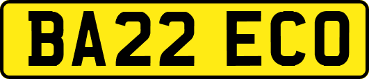 BA22ECO
