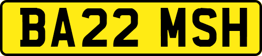 BA22MSH