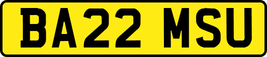 BA22MSU