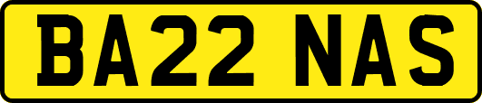 BA22NAS