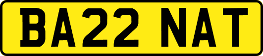 BA22NAT