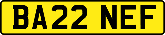 BA22NEF