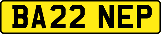 BA22NEP
