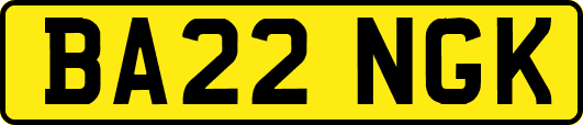 BA22NGK