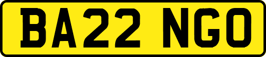 BA22NGO