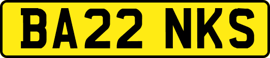 BA22NKS