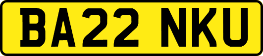 BA22NKU