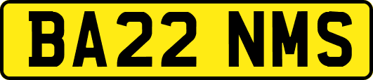 BA22NMS