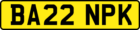 BA22NPK
