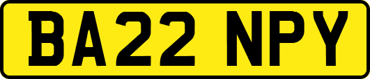 BA22NPY