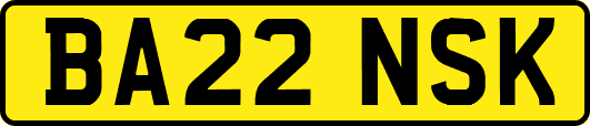BA22NSK