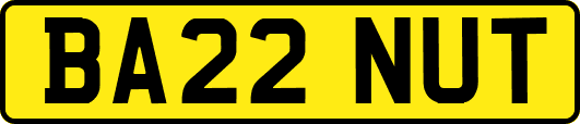 BA22NUT