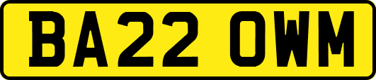 BA22OWM