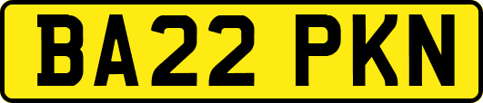 BA22PKN
