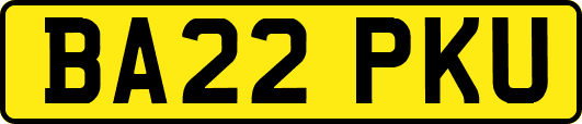 BA22PKU