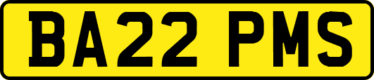 BA22PMS
