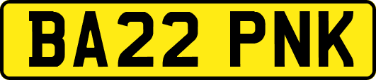 BA22PNK