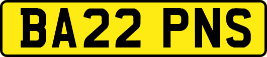 BA22PNS