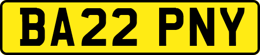 BA22PNY