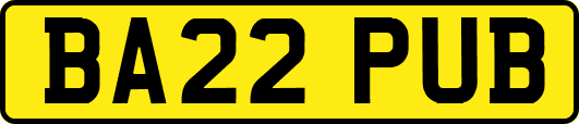 BA22PUB