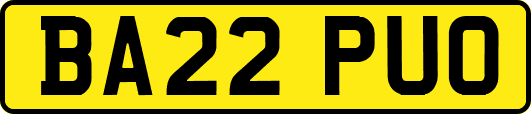 BA22PUO