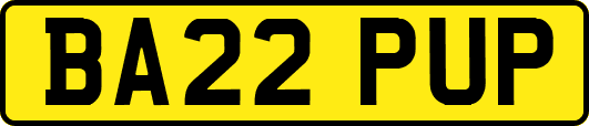 BA22PUP