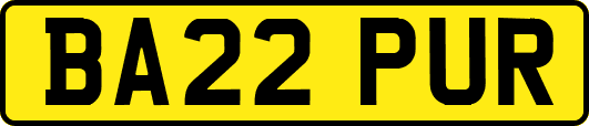 BA22PUR