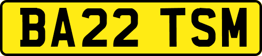BA22TSM