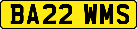 BA22WMS