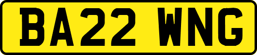 BA22WNG