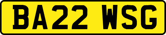 BA22WSG