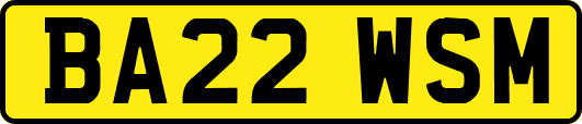 BA22WSM