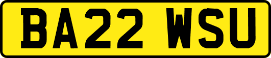 BA22WSU