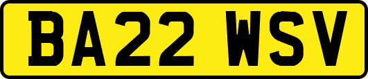 BA22WSV