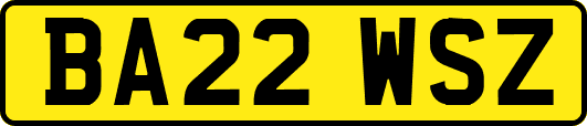 BA22WSZ