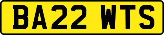 BA22WTS