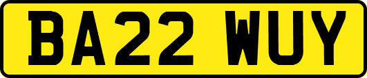 BA22WUY