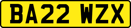 BA22WZX