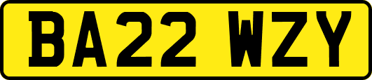 BA22WZY