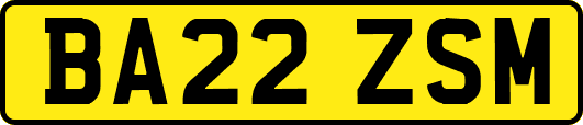 BA22ZSM
