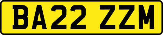 BA22ZZM