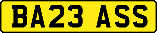 BA23ASS