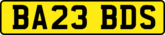 BA23BDS