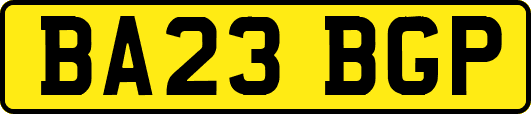 BA23BGP