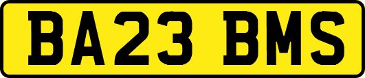 BA23BMS