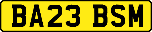 BA23BSM