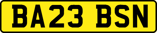 BA23BSN