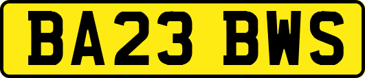 BA23BWS