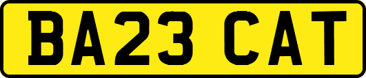 BA23CAT