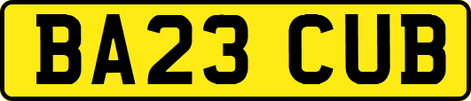 BA23CUB